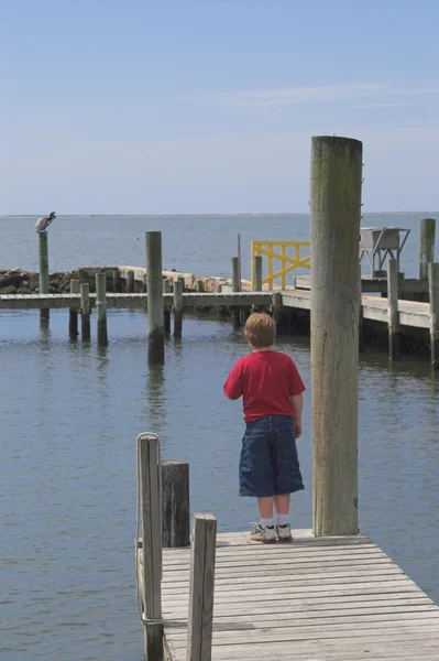 Boy on a Pier — Stock Photo, Image