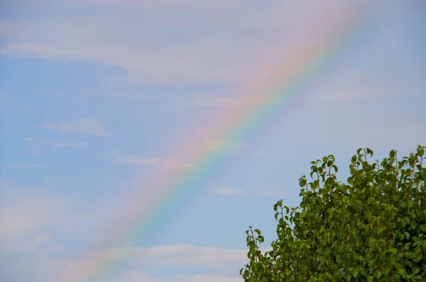 Rainbow — Stock Photo, Image