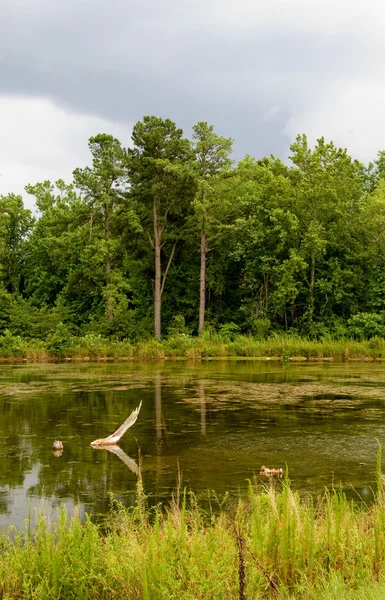 Bouřlivé jezero — Stock fotografie