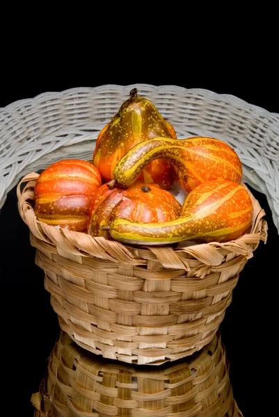 Gourds — Stock fotografie