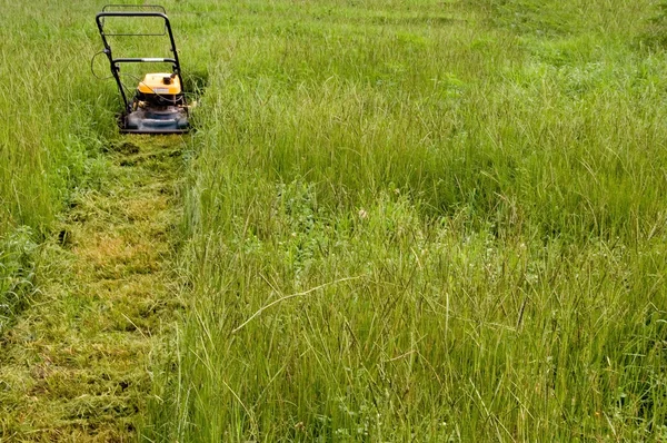 Cortando o gramado — Fotografia de Stock