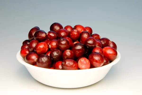 Cranberries in a Bowl — Stock Photo, Image