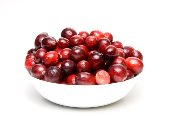 stock image Cranberries