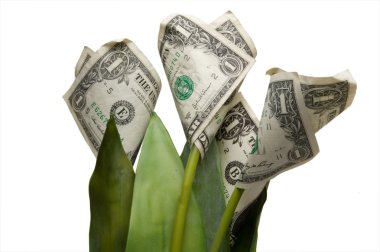 Money Flower clipart