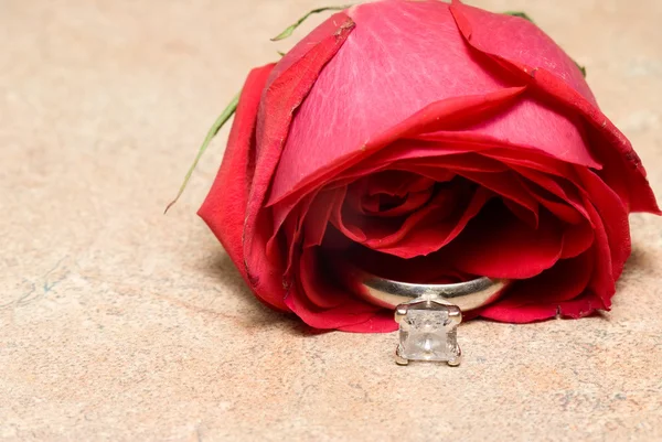 一朵玫瑰的结婚戒指 — 图库照片