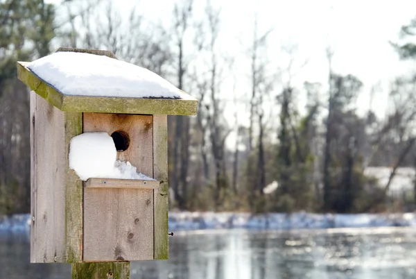 En fågelholk i snön — Stockfoto