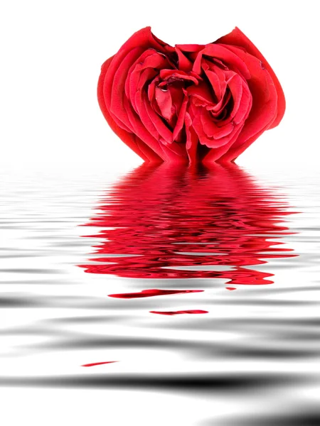 Червоні троянди серця — стокове фото