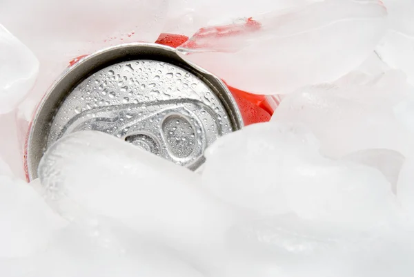 Bere Can in Ice — Foto Stock