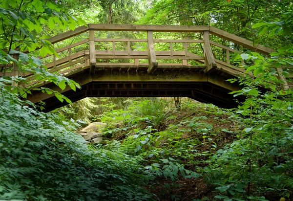 Деревянный пешеходный мост — стоковое фото
