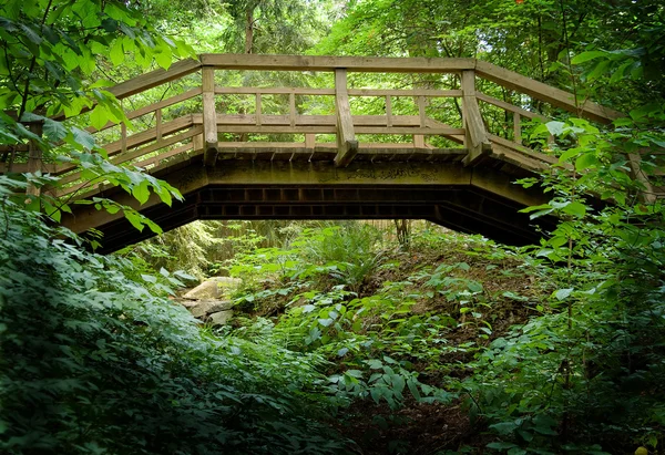 Ponte pedonale in legno — Foto Stock