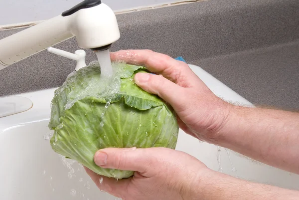 Washing Cabbage — Stock Photo, Image