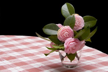 Pink Roses clipart