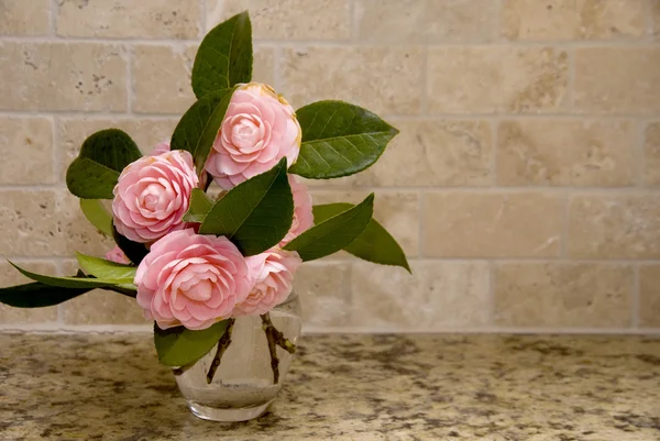 Lyserøde roser - Stock-foto