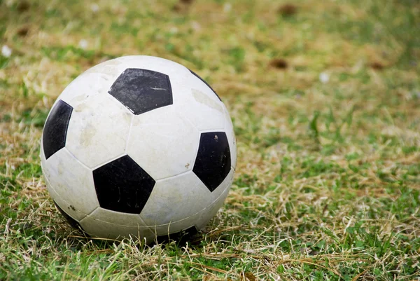 stock image Soccer Ball