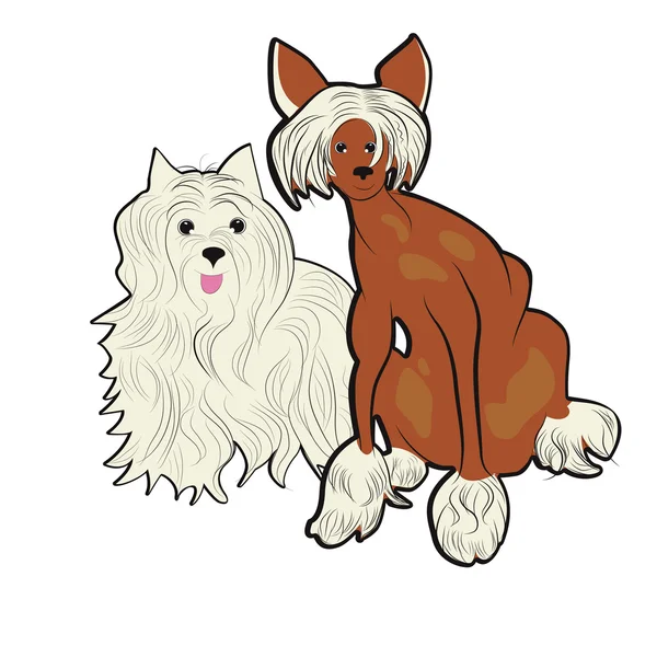 Две собаки — стоковый вектор