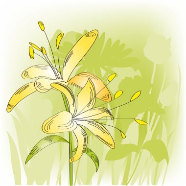 Lily on light green backgrounds clipart