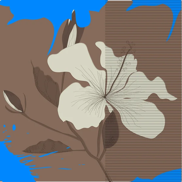 Grunge achtergrond met lily bloem — Stockvector
