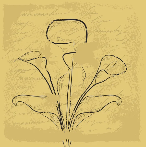 Ретро стилизованный фон с каллой — стоковый вектор