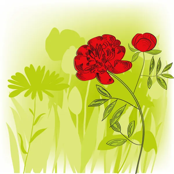 Fondo con flores de peonía roja — Vector de stock