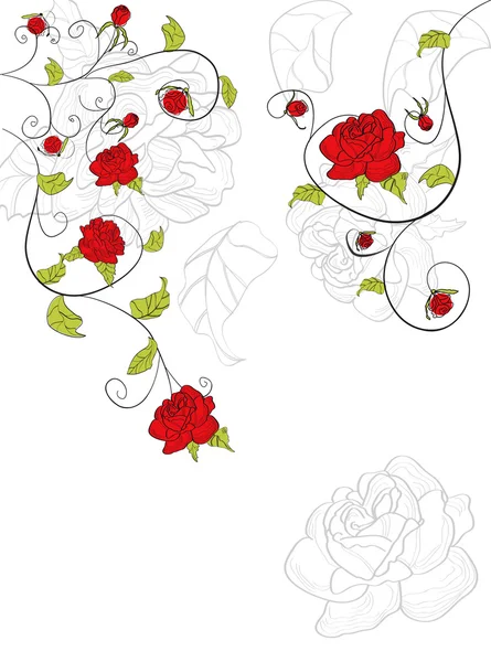 红玫瑰鲜花背景 — 图库矢量图片