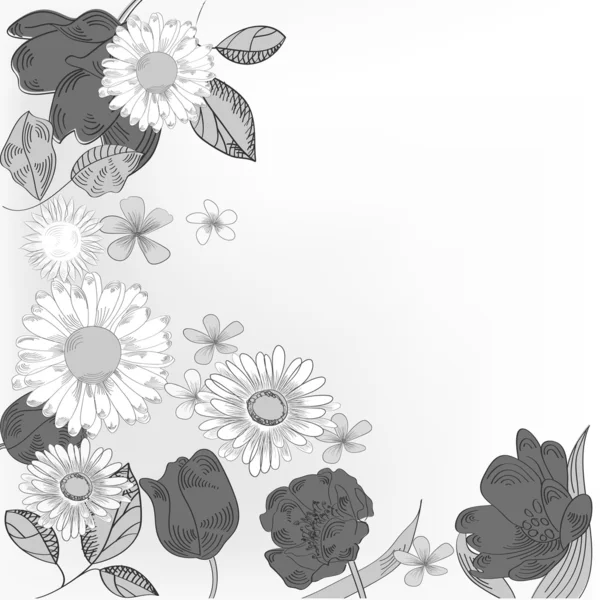 Cartão floral preto e branco — Vetor de Stock