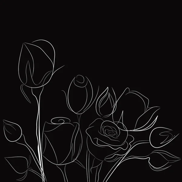 黒の背景に白いバラ — ストックベクタ