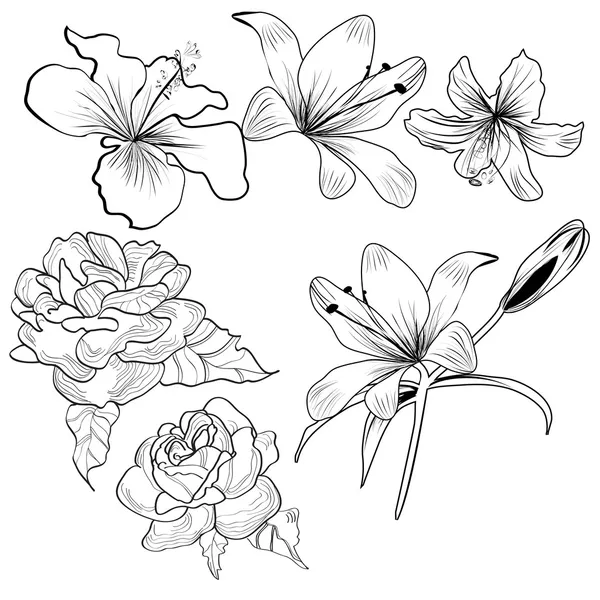 Skizze mit Blumen — Stockvektor