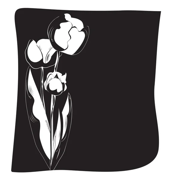 Fondo blanco y negro con tulipanes — Archivo Imágenes Vectoriales