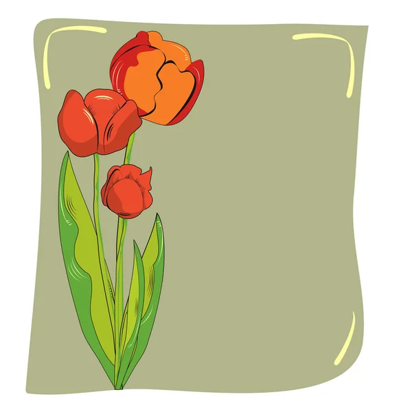 Dekorativa kort med tulpaner — Stock vektor