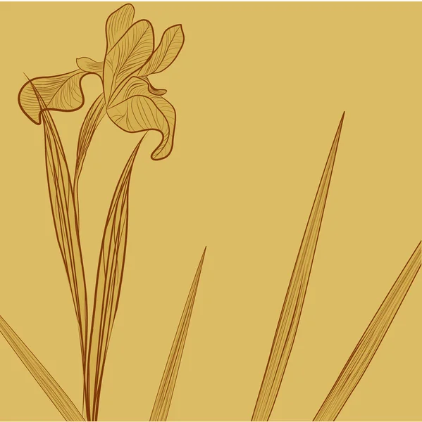 Blumen Hintergrund mit Iris Blume — Stockvektor