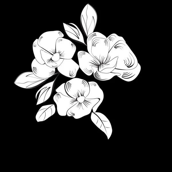 Háttér fehér virágokkal — Stock Vector