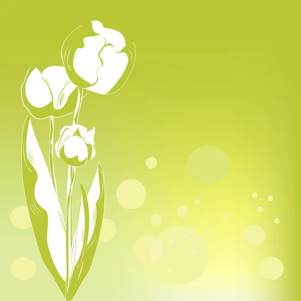 Dekorativní karta s tulipány — Stockový vektor