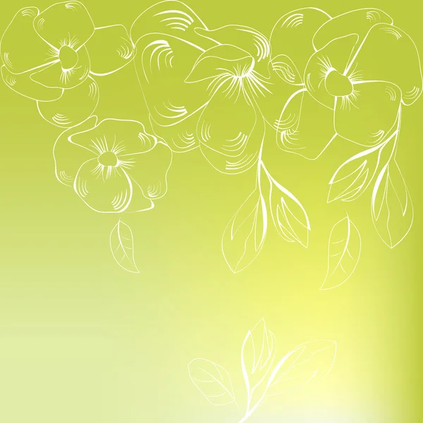 Fond de printemps avec des fleurs blanches — Image vectorielle