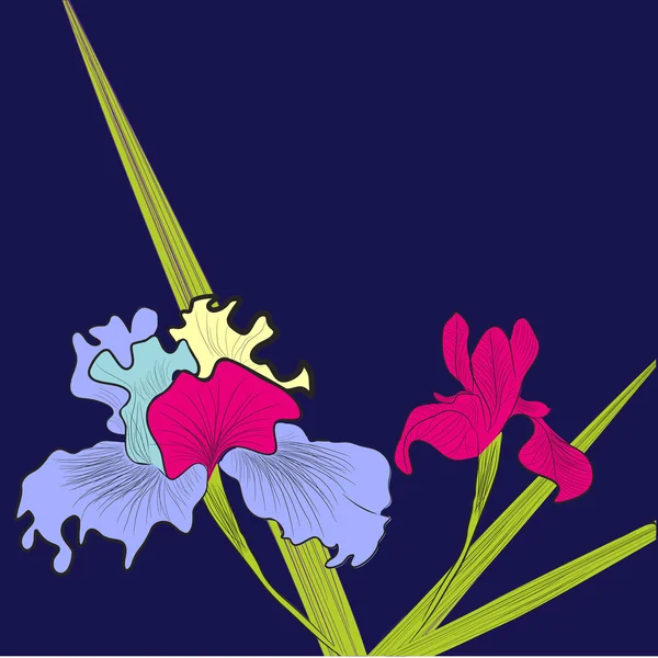 Fondo decorativo con iris — Archivo Imágenes Vectoriales