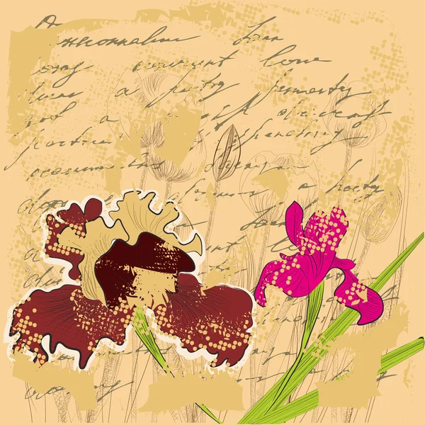 Grunge achtergrond met iris bloemen — Stockvector