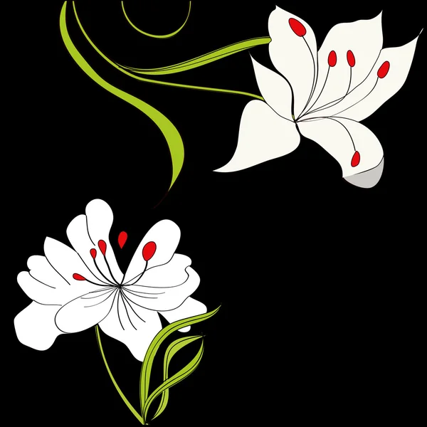 Fondo negro con flores blancas — Vector de stock