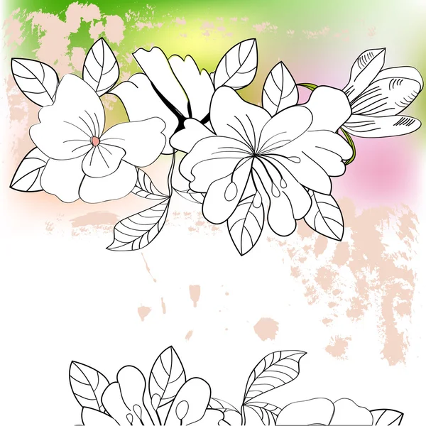 Fondo colorido con flores — Archivo Imágenes Vectoriales