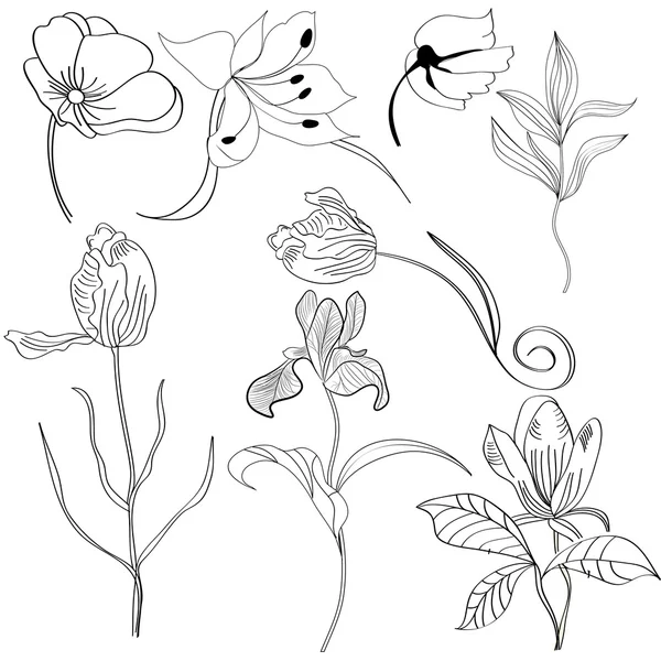 Set di fiori 4 — Vettoriale Stock