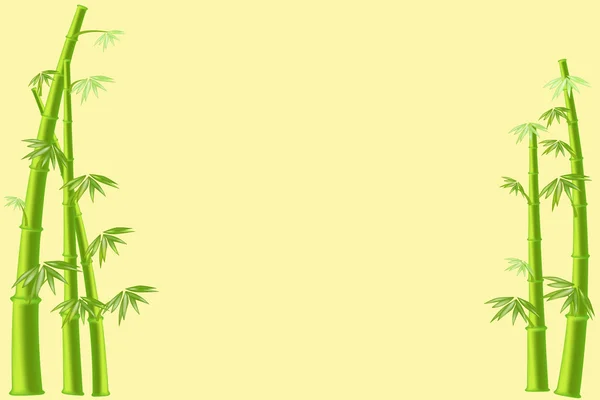 Yeşil Bambu — Stok Vektör