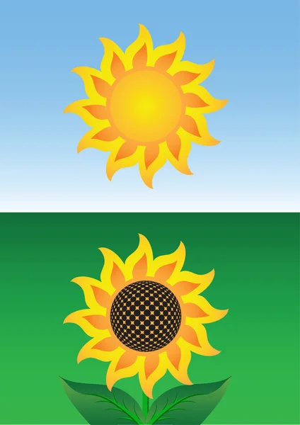 太陽と向日葵 — ストックベクタ