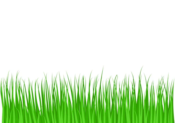 stock vector Grass