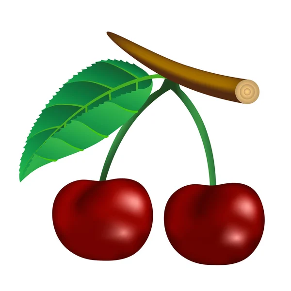 Red cherries — Stock Vector