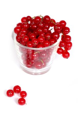 Redcurrants