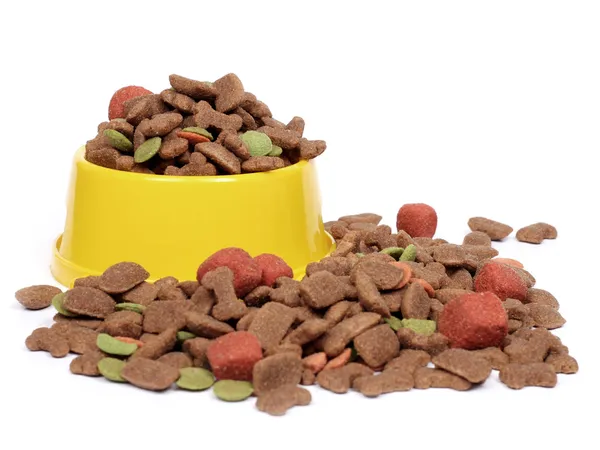 Miskę karmy dla zwierząt domowych — Zdjęcie stockowe