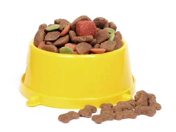 stock image Petfood bowl