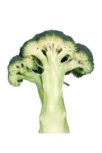 De helft van broccoli — Stockfoto