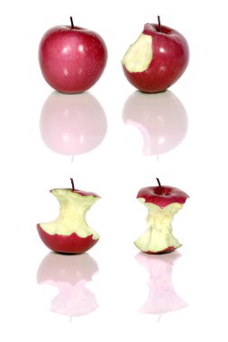 Red apples clipart