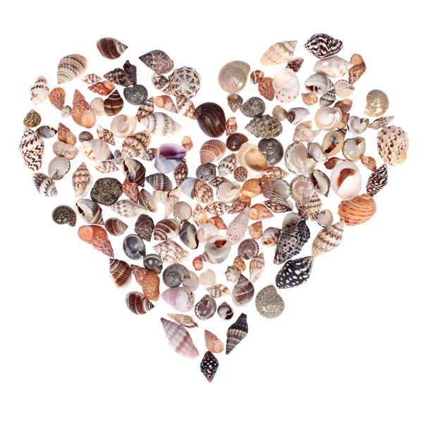 Seashell heart — Stock Photo, Image