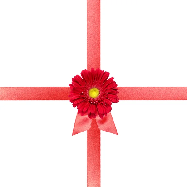 白いカード上の花と赤いリボン — ストック写真