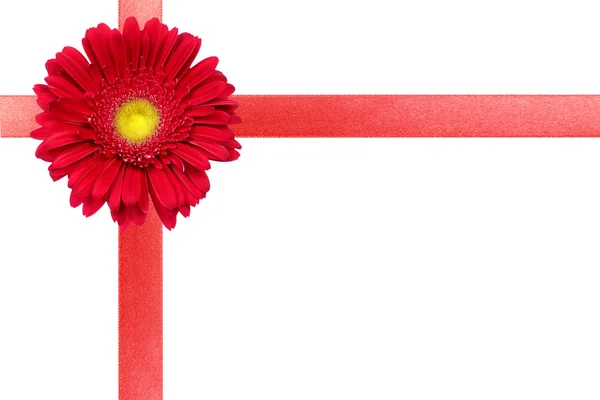 Ruban rouge avec fleur sur carton blanc Photo De Stock